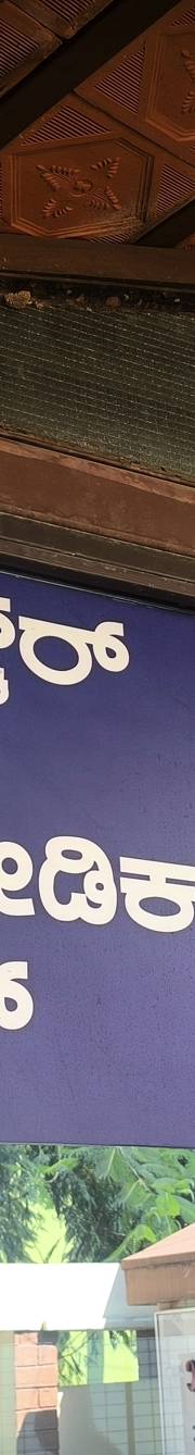 Gallery K S Orthopaedic Foundation